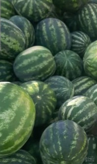 فروش هندوانه