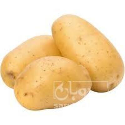 فروش انبه