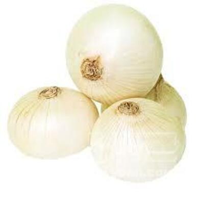 فروش پیازسفید