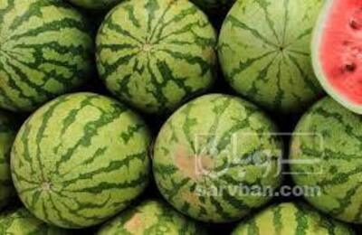 فروش هندوانه