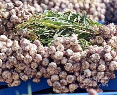 فروش سیر محلی