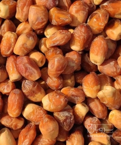 فروش خرما زاهدی