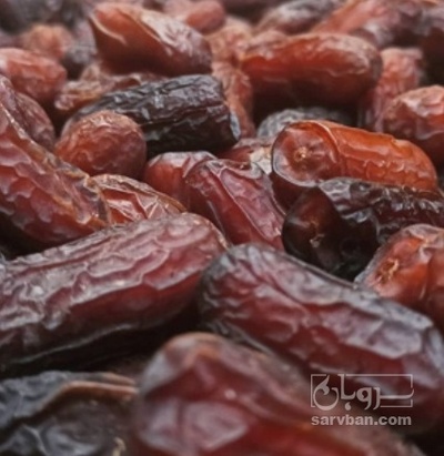 فروش خرما پیارم
