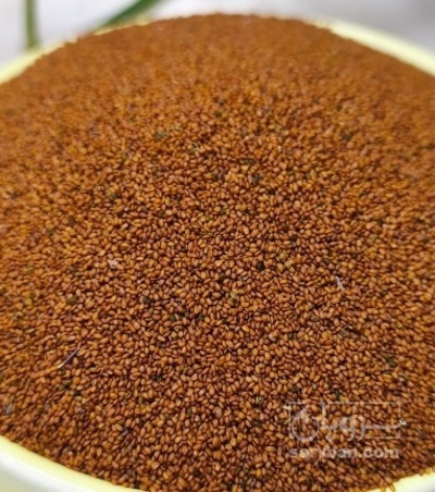 فروش خاکشیر (گیاه‌ دارویی)