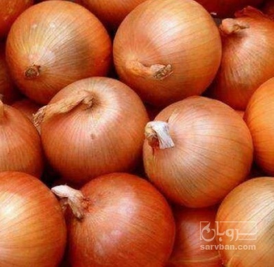 فروش پیاز زرد