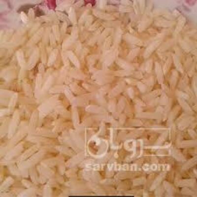 فروش برنج لنجون