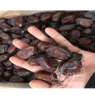 فروش خرما کلوته