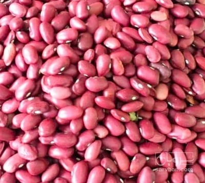 فروش لوبیا قرمز