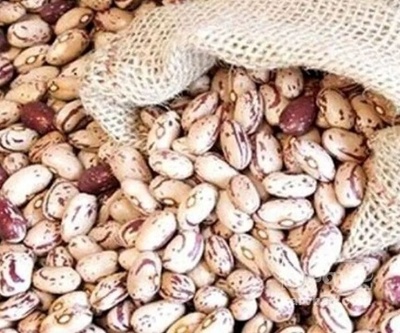 فروش لوبیا چیتی | سروبان