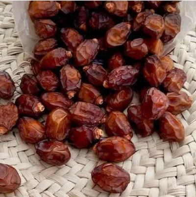 فروش خرماکلوته