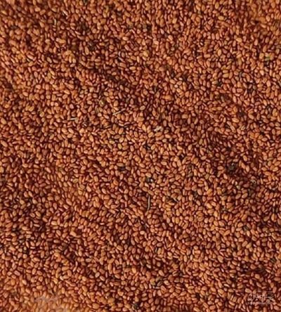 فروش خاکشیر (گیاه‌ دارویی)