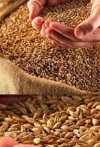 فروش جو