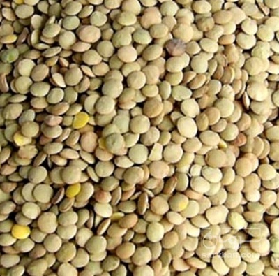 فروش عدس