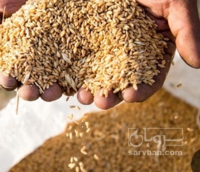 فروش جو