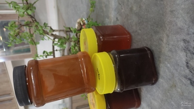 فروش انواع عسل