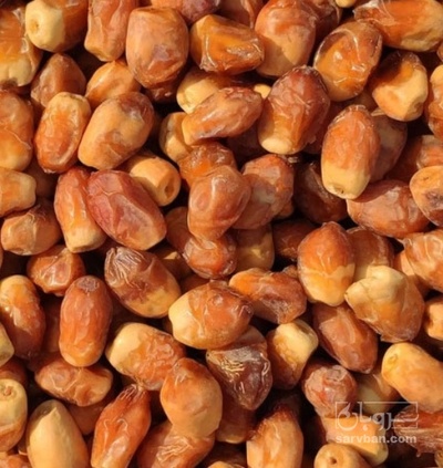فروش خرما زاهدی