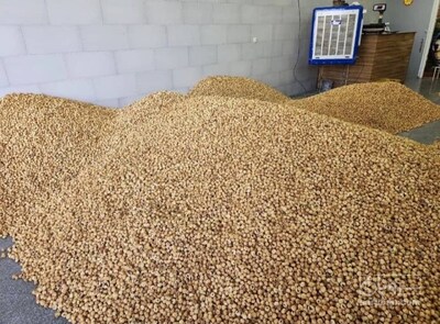 فروش انجیر خشک