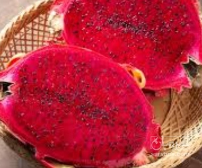 فروش میوه دراگون فوروت تو سرخ (دراگون فروت)