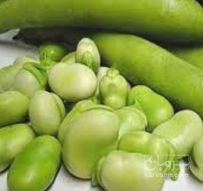 فروش باقلا تازه - باقالی - باقالا