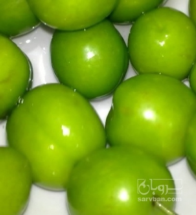 فروش گوجه سبز