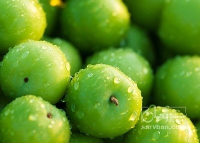 فروش گوجه سبز
