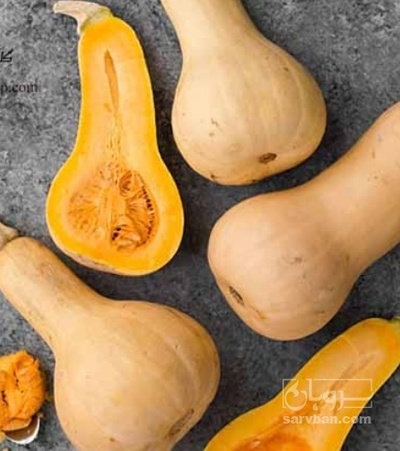 فروش کدو