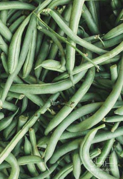 فروش لوبیا سبز