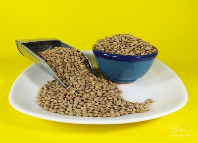 فروش عدس