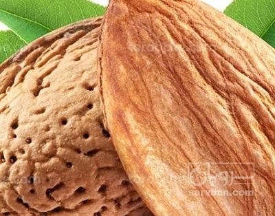 فروش بادام
