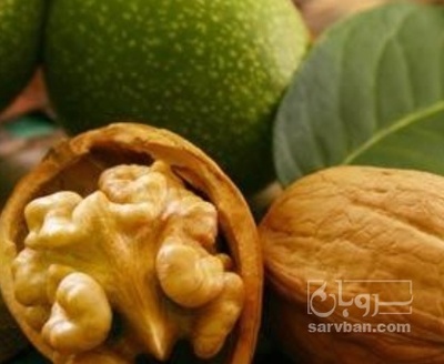 فروش گردو