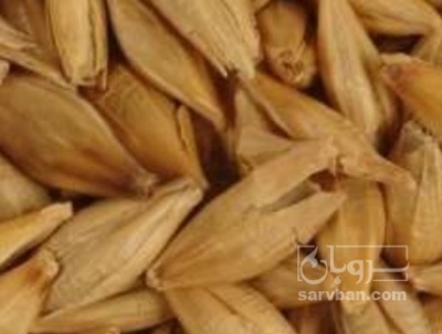فروش جو