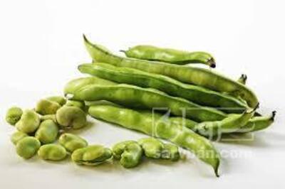 فروش باقلا تازه - باقالی - باقالا