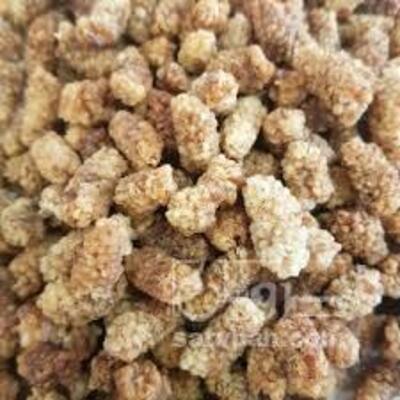 فروش توت خشک