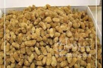 فروش توت خشک