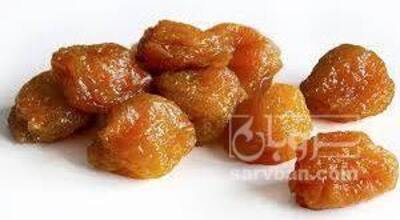 فروش آلوآفتابی
