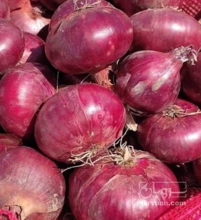 فروش پیاز قرمز