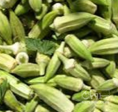 فروش بامیه