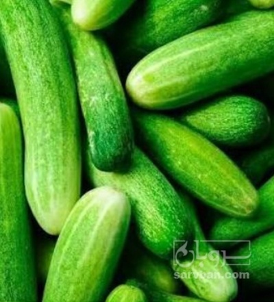 فروش خیار
