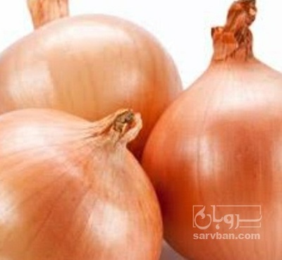فروش پیاز