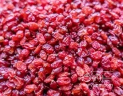 فروش زرشک زیرتالاری