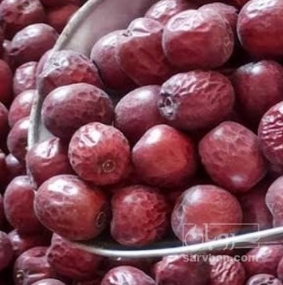 فروش عناب دارویی