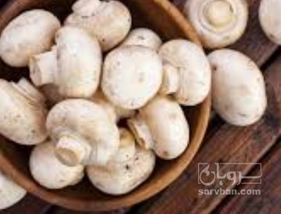 فروش قارچ دکمه ای