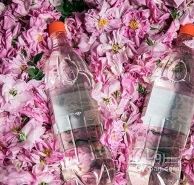 فروش عرق گلاب