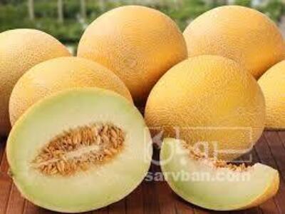 فروش ملون