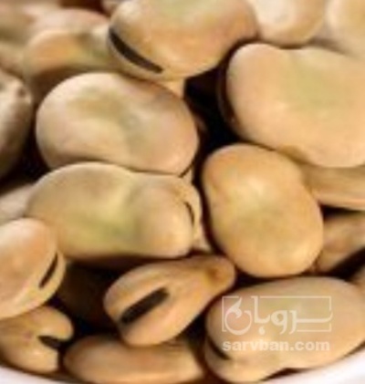 فروش باقلا خشک