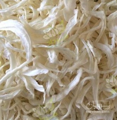 فروش پیاز خشک (گیاه‌ دارویی)