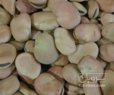 فروش باقلا خشک