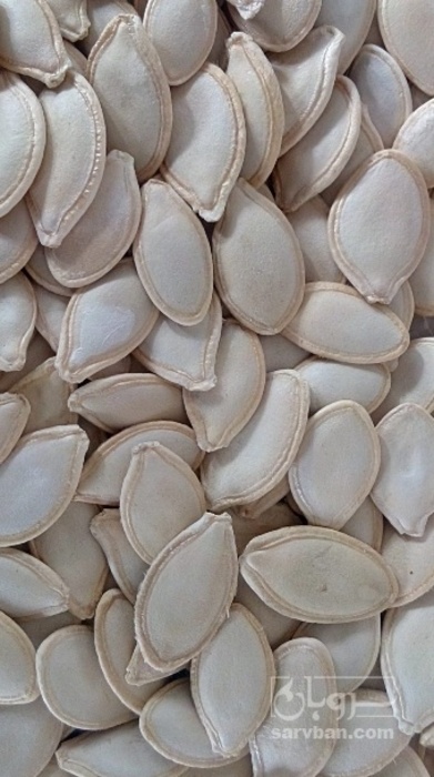 فروش تخمه  کدو بو داده