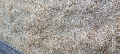 فروش کاه و کلش گندم | سروبان