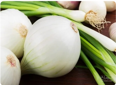 فروش پیازسفید